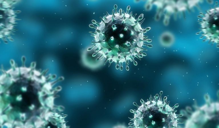 Inflammation in atherosclerosis: pathophysiology and mechanisms